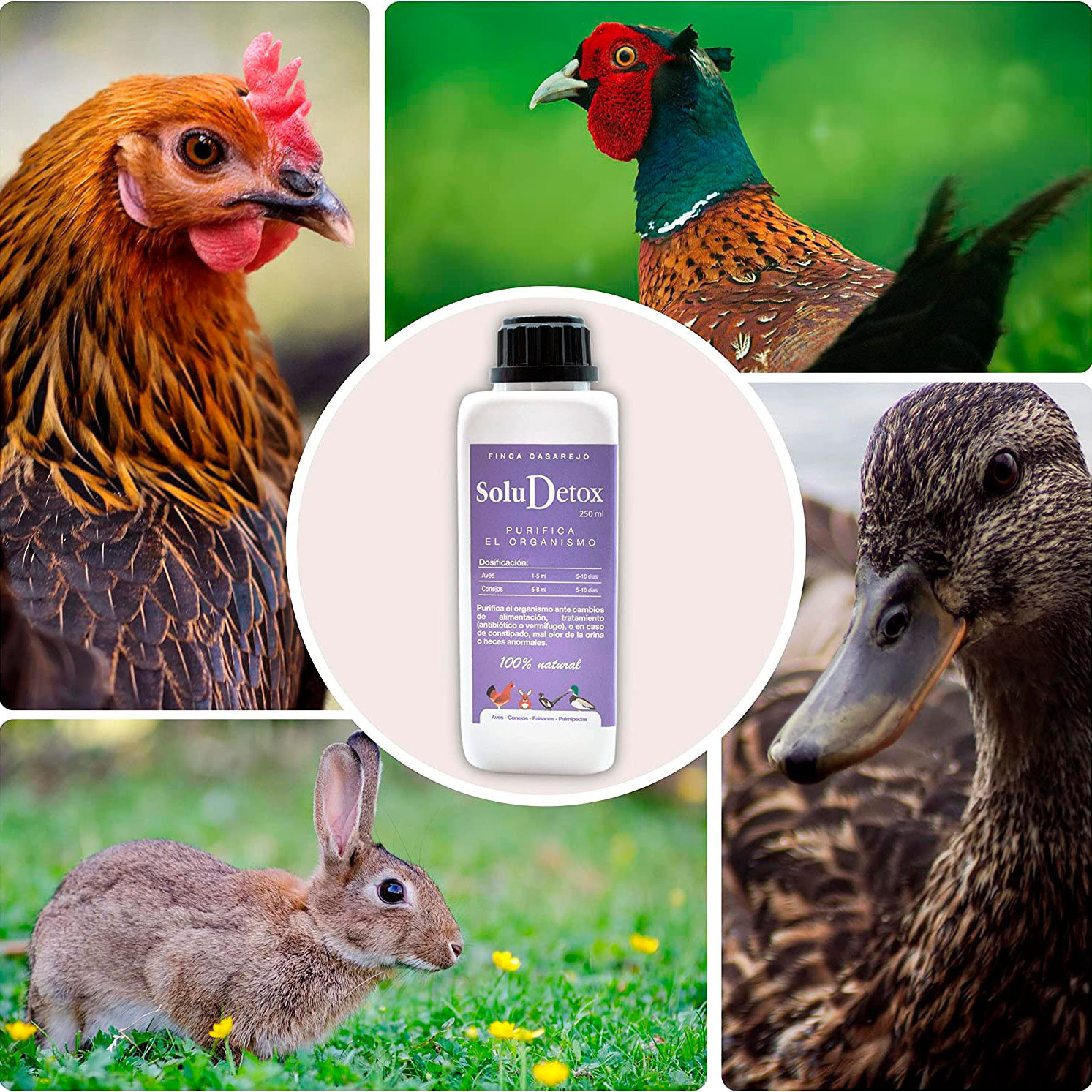 Finca casarejo soludetox suplemento alimenticio para aves de corral y conejos, , large Imagen numero 4